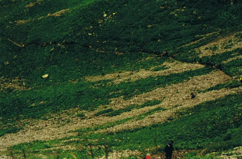 Eine Gruppe von Menschen, die einen üppigen grünen Hang hinuntergehen, umgeben von Pflanzen und Gras. – Jugend und Hund Lager 2000 in Sörenberg
