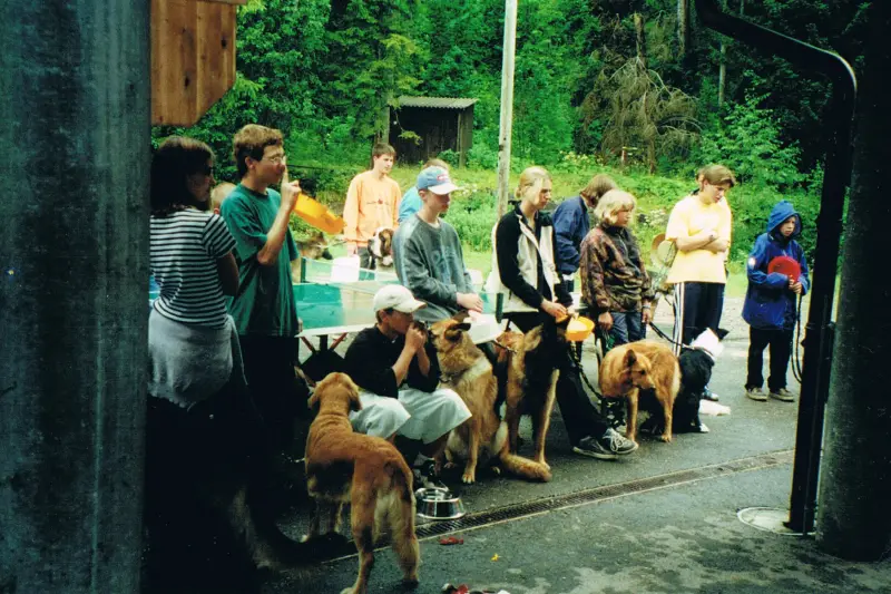 Eine Gruppe von Menschen, die um eine Gruppe mit ihren Hunden stehen. – Jugend und Hund Lager 2000 in Sörenberg
