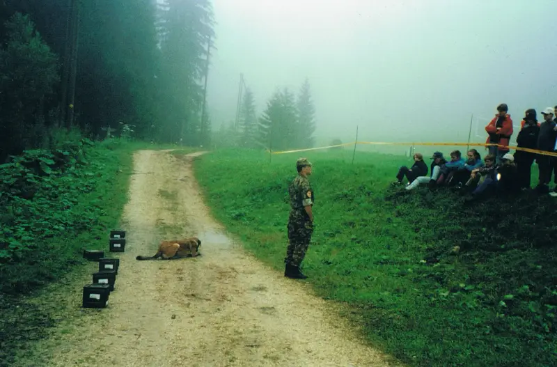 Das Bild zeigt einen Mann, der auf einem Feldweg neben einem Hund steht, umgeben von einer Gruppe von Menschen, die auf dem Gras sitzen. – Jugend und Hund Lager 2000 in Sörenberg