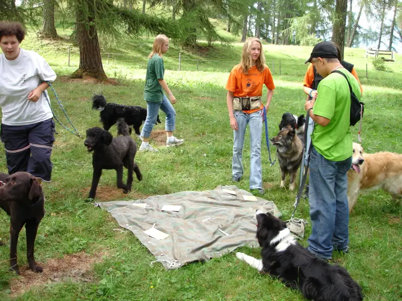 Eine Gruppe von Menschen, die um einen Hundepark stehen. – Jugend und Hund Lager 2006 in Trans