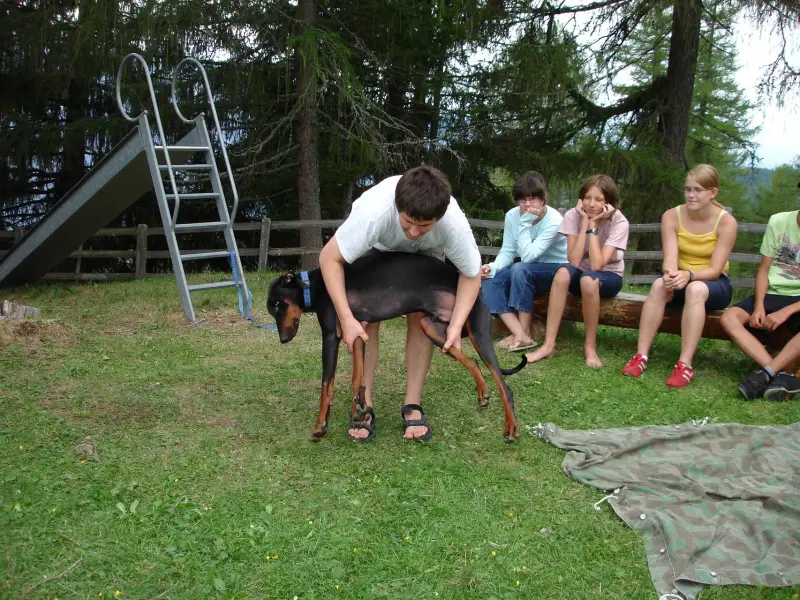Eine Gruppe von Menschen, die auf einem grasbedeckten Feld sitzen. – Jugend und Hund Lager 2006 in Trans