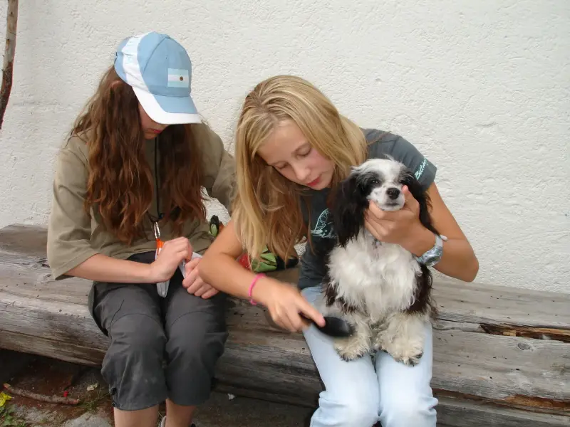 Zwei Mädchen sitzen auf einer Bank mit einem Hund. – Jugend und Hund Lager 2006 in Trans