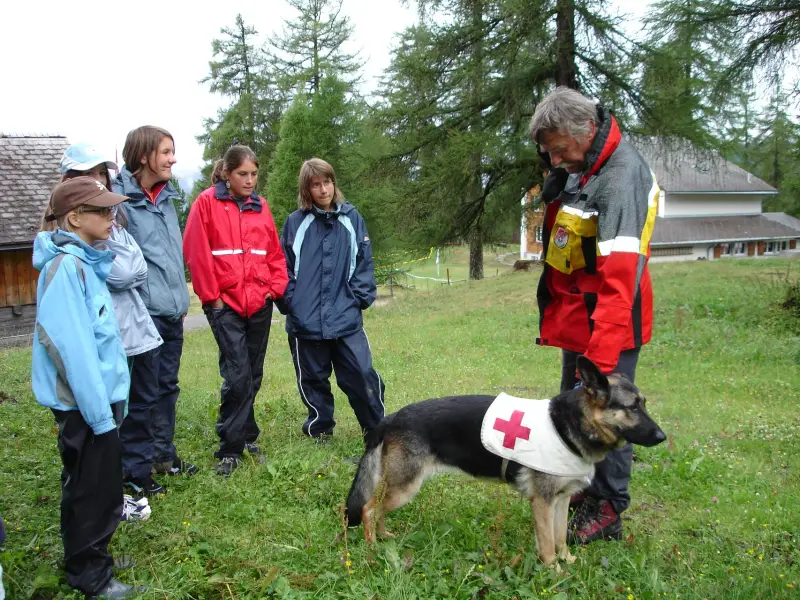 Eine Gruppe von Kindern und einem Hund auf einem Feld. – Jugend und Hund Lager 2006 in Trans