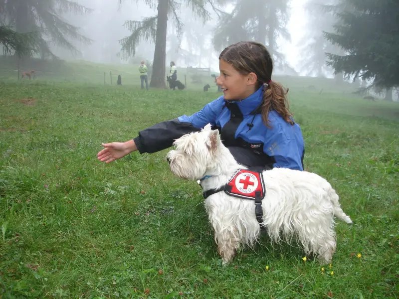 Ein junges Mädchen streicheln einen kleinen weissen Hund. – Jugend und Hund Lager 2006 in Trans