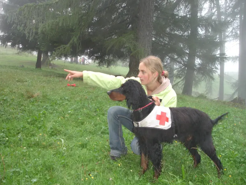 Ein junges Mädchen streichelt einen Hund auf einem Feld. – Jugend und Hund Lager 2006 in Trans