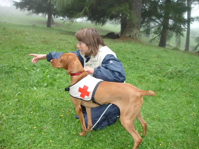 Ein junges Mädchen streichelt einen Hund auf einem Feld. – Jugend und Hund Lager 2006 in Trans