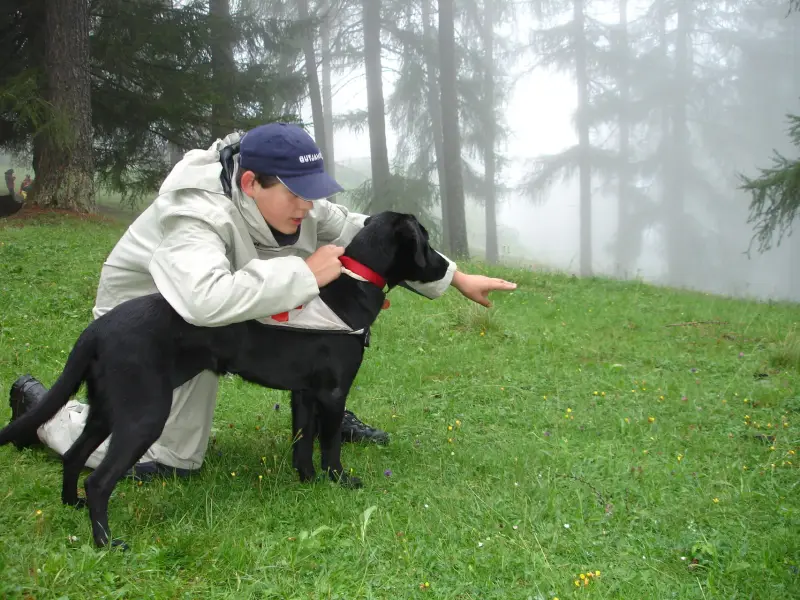 Ein Junge kniet hinunter, um einen Hund zu streicheln. – Jugend und Hund Lager 2006 in Trans