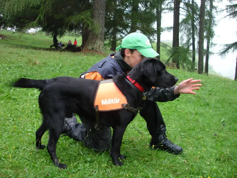 Ein schwarzer Hund trägt ein schwarzes Leben. – Jugend und Hund Lager 2006 in Trans