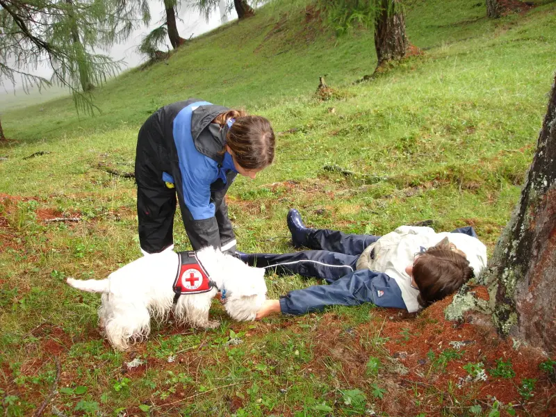 Eine Frau und zwei Hunde, die auf dem Boden liegen. – Jugend und Hund Lager 2006 in Trans