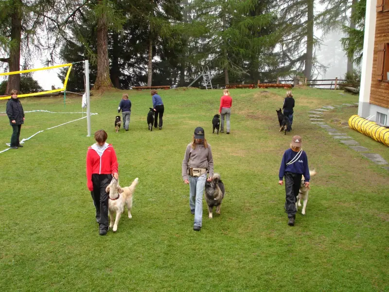 Eine Gruppe von Menschen, die mit einem Hund spielen. – Jugend und Hund Lager 2006 in Trans