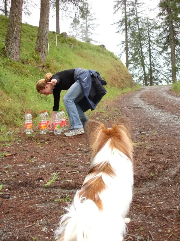 Ein Hund steht auf einer unbefestigten Strasse. – Jugend und Hund Lager 2006 in Trans