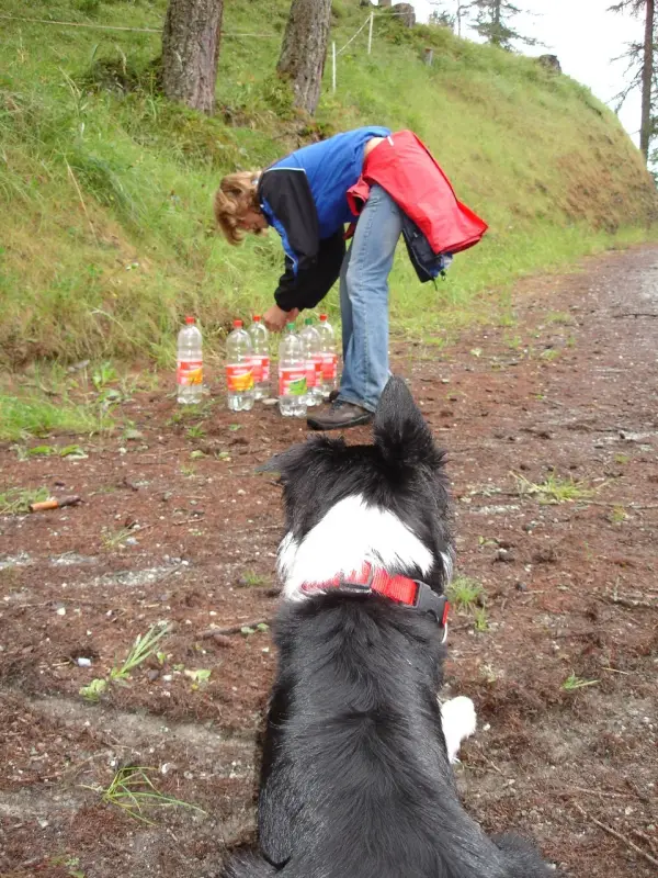Ein Hund schaut auf eine Person mit einem Rucksack. – Jugend und Hund Lager 2006 in Trans