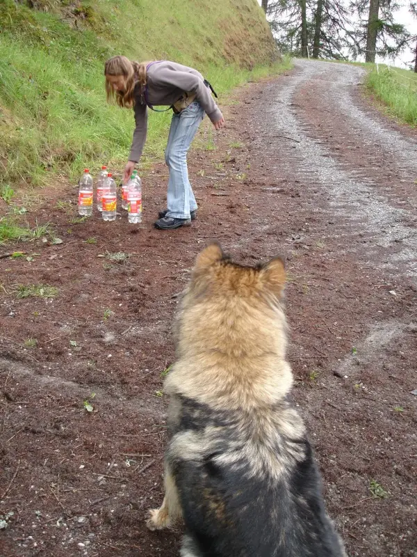 Eine Frau füttert einen Hund auf einem Feldweg. – Jugend und Hund Lager 2006 in Trans
