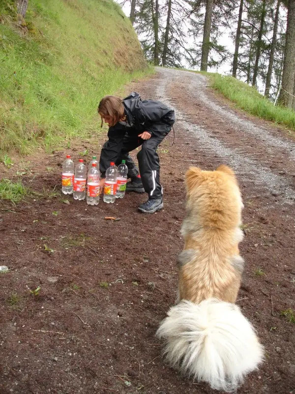 Ein Hund, der auf einer unbefestigten Strasse neben einer Person steht. – Jugend und Hund Lager 2006 in Trans