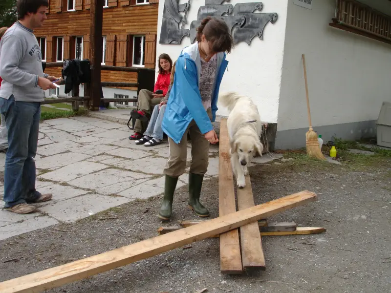 Eine Frau und ein Kind spielen mit einem Hund. – Jugend und Hund Lager 2006 in Trans