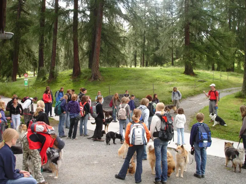 Eine Gruppe von Menschen, die mit ihren Hunden gehen. – Jugend und Hund Lager 2007 in Trans