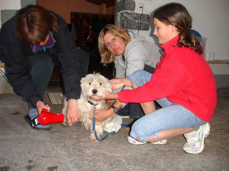 Eine Frau streichelt einen kleinen Hund. – Jugend und Hund Lager 2007 in Trans