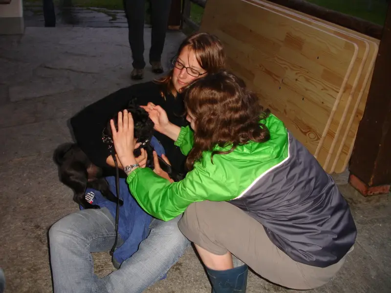 Eine Frau kniet hinunter, um einen Hund zu streicheln. – Jugend und Hund Lager 2007 in Trans