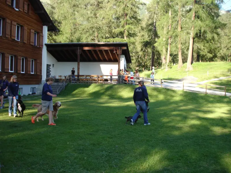 Eine Gruppe von Leuten, die frc in einem Hof spielen. – Jugend und Hund Lager 2007 in Trans