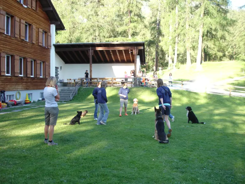 Eine Gruppe von Menschen, die mit einem Hund spielen. – Jugend und Hund Lager 2007 in Trans
