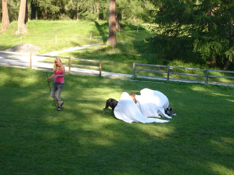 Eine Frau, die hinter einem Pferd auf einem Feld läuft. – Jugend und Hund Lager 2007 in Trans