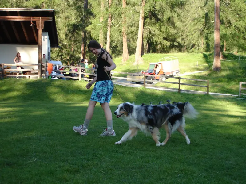 Eine Frau, die einen Hund auf einem grasbewachsenen Feld läuft. – Jugend und Hund Lager 2007 in Trans