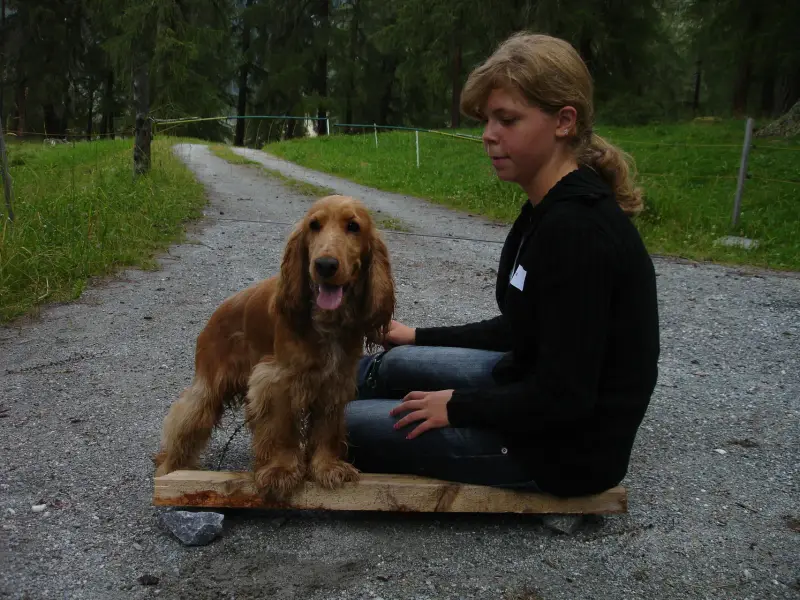 Eine Frau, die auf einer Holzbank mit einem Hund sitzt. – Jugend und Hund Lager 2007 in Trans