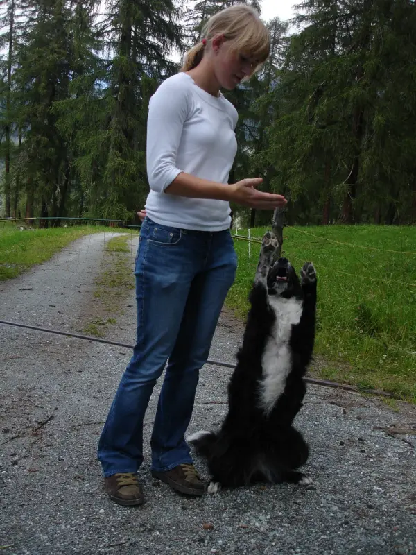 Eine Frau steht auf einer Schotterstrasse mit einem Hund. – Jugend und Hund Lager 2007 in Trans
