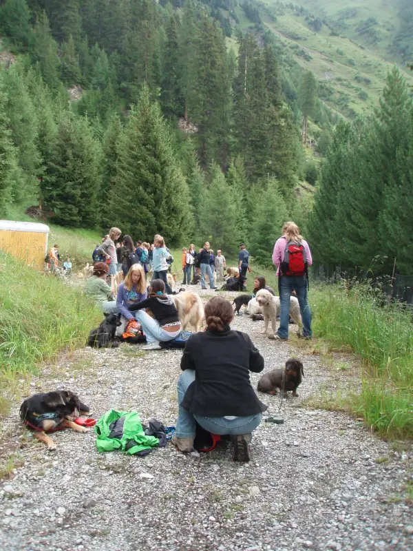 Eine Gruppe von Menschen, die auf einer Schotterstrasse sitzen. – Jugend und Hund Lager 2007 in Trans