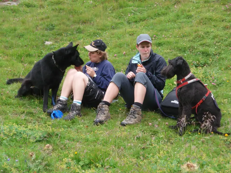 Eine Gruppe von Menschen, die auf einem Feld mit ihren Hunden sitzen. – Jugend und Hund Lager 2007 in Trans