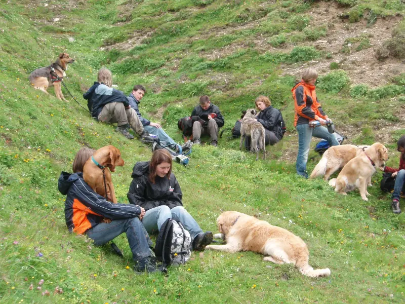 Eine Gruppe von Menschen, die auf einem Hügel mit Hunden sitzen. – Jugend und Hund Lager 2007 in Trans