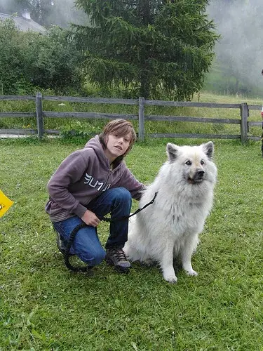 Ein Hund und ein Mann sitzen im Gras. – Jugend und Hund Lager 2008 in Trans