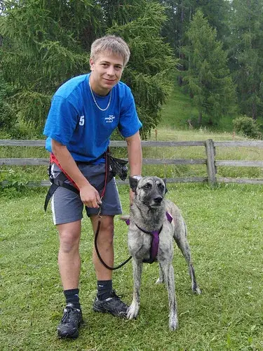 Ein Junge in einem Jungen, ein blauer Junge. – Jugend und Hund Lager 2008 in Trans