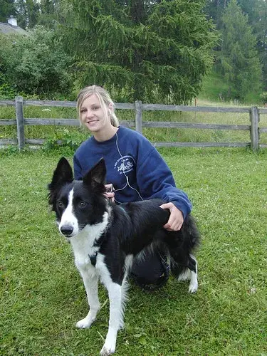 Ein junges Mädchen sitzt im Gras mit einem Hund. – Jugend und Hund Lager 2008 in Trans