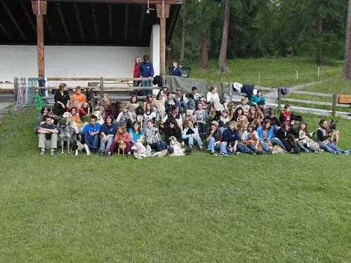 Eine Gruppe von Menschen, die auf dem Gras sitzen. – Jugend und Hund Lager 2008 in Trans