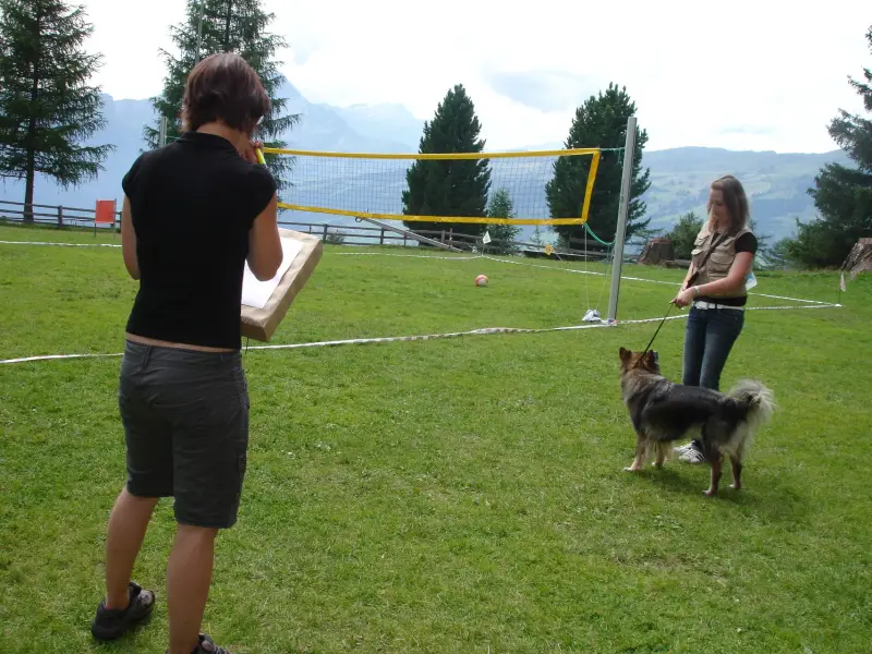 Eine Frau und ein Hund spielen mit einem frc. – Jugend und Hund Lager 2008 in Trans