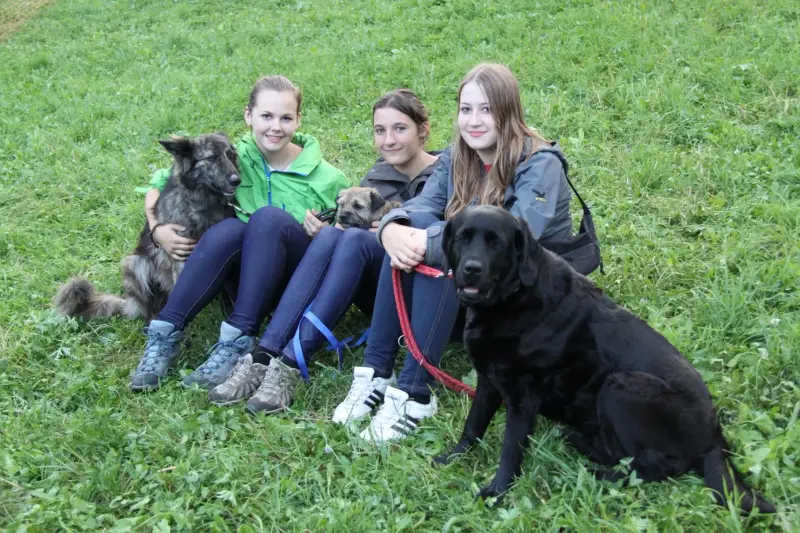 Drei Mädchen, die mit ihren Hunden auf dem Gras sitzen, alle lächelnd. Rassen: Labrador Retriever, Norwegischer Elchhund. – Jugend und Hund Lager 2012 in Vignogn