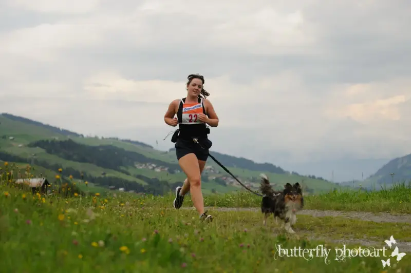 Eine Frau, die mit ihrem Hund an einer Leine in den Bergen läuft. Rasse: Sheltie. – Jugend und Hund Lager 2012 in Vignogn