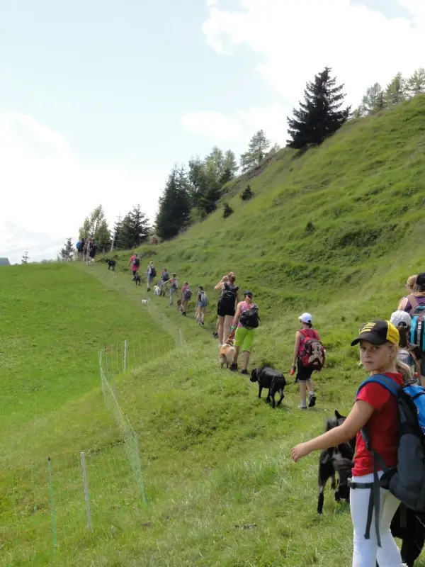 Eine Gruppe von Menschen, die einen grasbewachsenen Hang hinuntergehen, die jeweils eine Tasche und eine Mütze tragen. – Jugend und Hund Lager 2012 in Vignogn