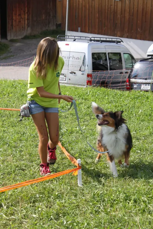 Eine Frau, die einen Hund an einer Leine in einem Grasbereich läuft. Rasse: Berner Sennenhund. – Jugend und Hund Lager 2012 in Vignogn