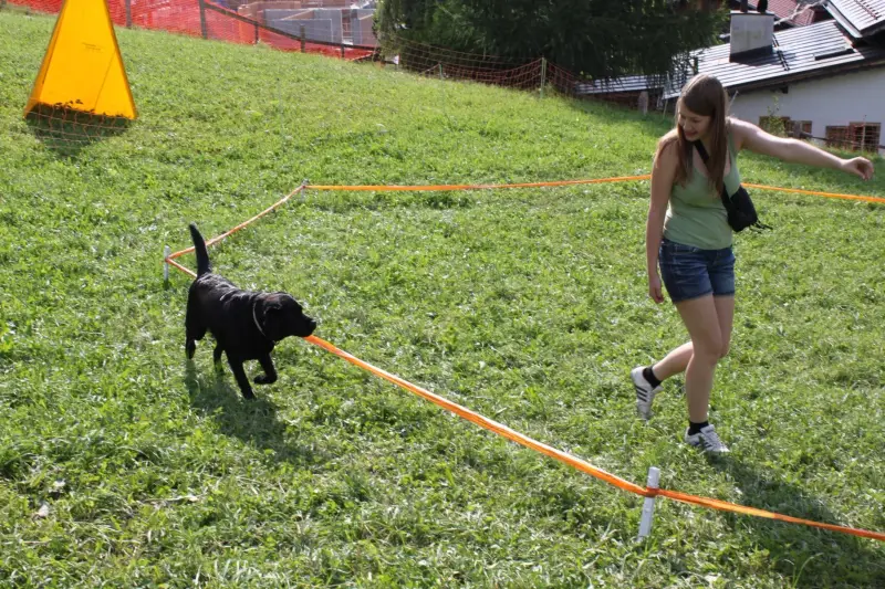 Eine Frau, die einen schwarzen Hund auf einer Leine auf einem Grasfeld läuft. Rasse: Labrador Retriever. – Jugend und Hund Lager 2012 in Vignogn