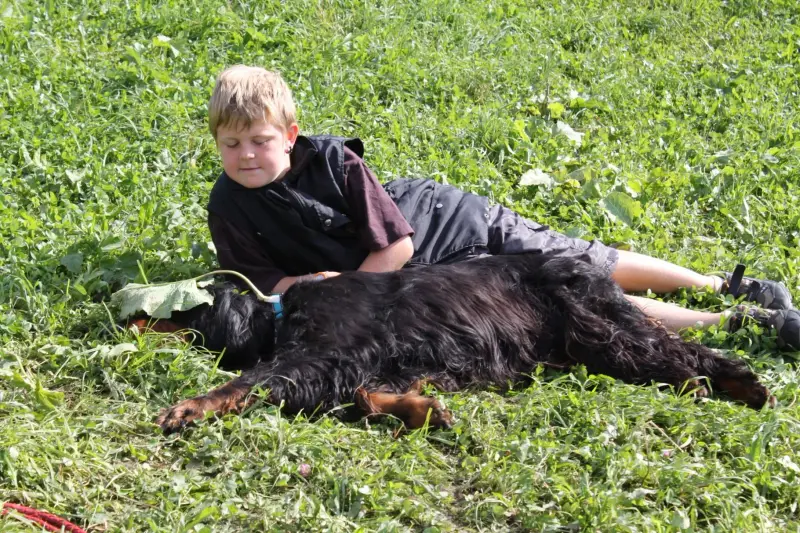 Das Bild zeigt einen Jungen, der mit einem schwarzen Hund im Gras liegt und ein schwarzes Kleid und Schuhe trägt. Rasse: Gordon Setter. – Jugend und Hund Lager 2012 in Vignogn