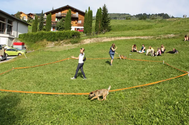 Eine Gruppe von Menschen, die mit einem Hund auf einem Feld spielen. – Jugend und Hund Lager 2012 in Vignogn