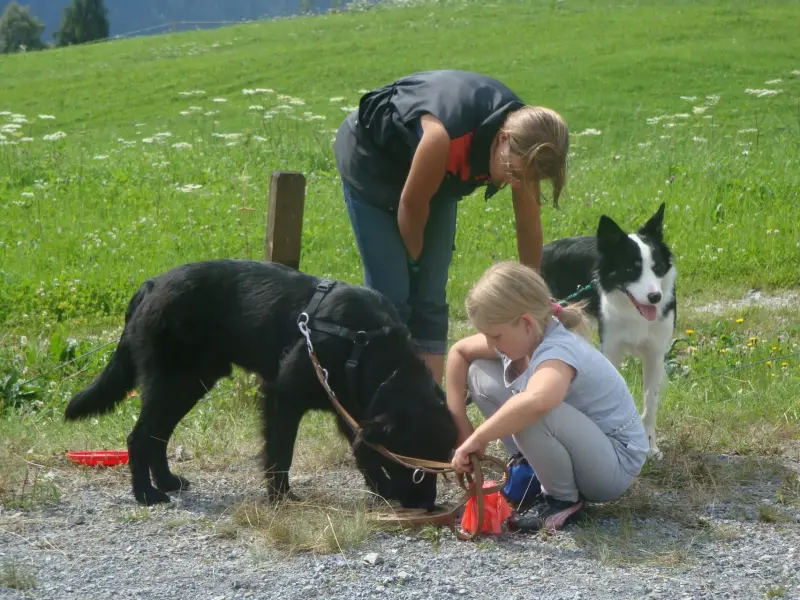 Zwei Frauen und einen schwarz-weissen Hund, der auf einem Grasfeld steht. Rassen: Border Collie, Belgischer Schäferhund (Groenendael). – Jugend und Hund Lager 2012 in Vignogn