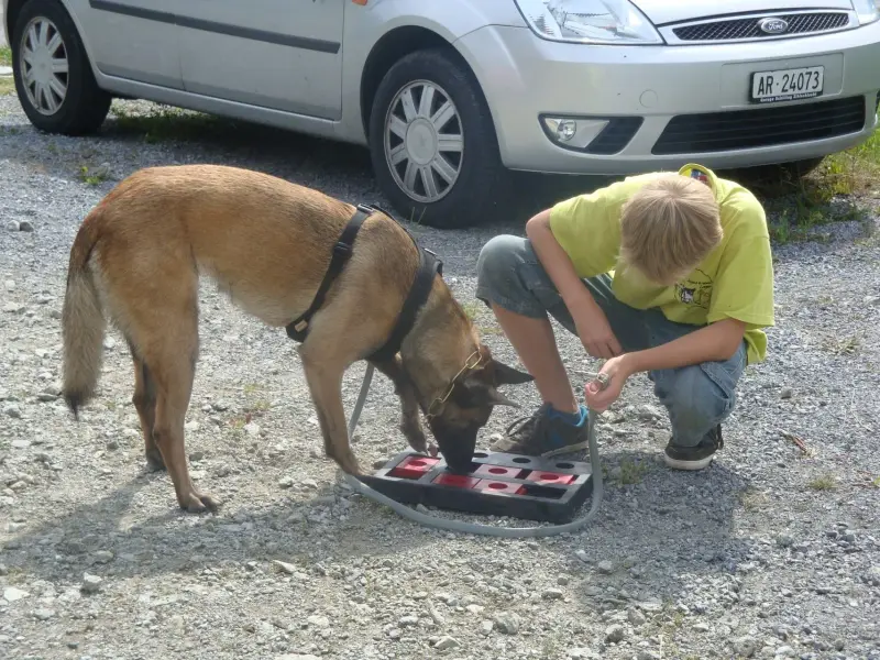 Das Bild zeigt einen Mann, der neben einem Hund an der Leine kniet, mit einem Auto im Hintergrund. Rasse: Malinois. – Jugend und Hund Lager 2012 in Vignogn