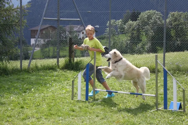 Ein junger Junge spielt mit einem Hund in einem eingezäunten Bereich. – Jugend und Hund Lager 2012 in Vignogn