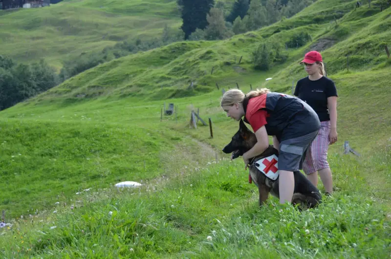 Zwei Personen, die auf einem Grasfeld mit einem Hund stehen. Rasse: Malinois. – Jugend und Hund Lager 2012 in Vignogn