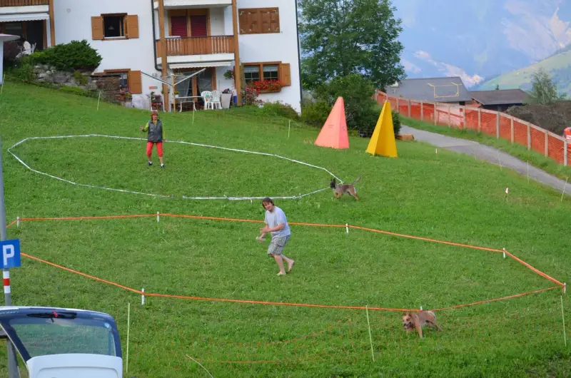 Eine Gruppe von Menschen, die ein Spiel der Hunde-Agilität auf einem Grasfeld spielen. – Jugend und Hund Lager 2012 in Vignogn